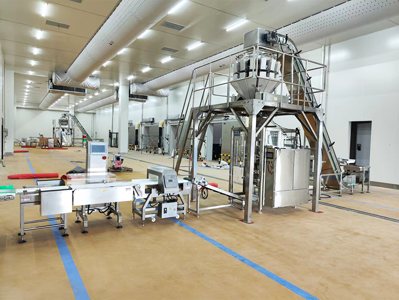 machine à emballer automatique forzen food