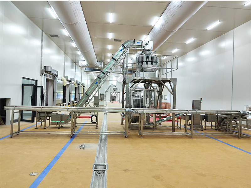 machine à emballer automatique forzen food