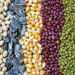 Machine d'emballage automatique de graines